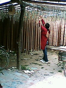 河南竹木加工厂 竹签、二手制香机与营林机械制造的综合服务